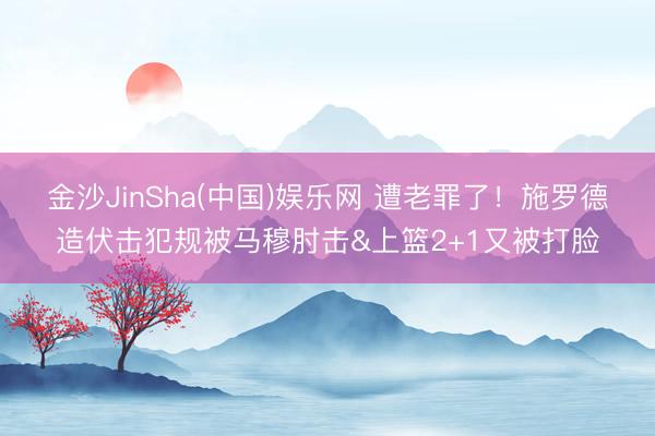 金沙JinSha(中国)娱乐网 遭老罪了！施罗德造伏击犯规被马穆肘击&上篮2+1又被打脸