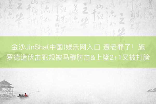金沙JinSha(中国)娱乐网入口 遭老罪了！施罗德造伏击犯规被马穆肘击&上篮2+1又被打脸