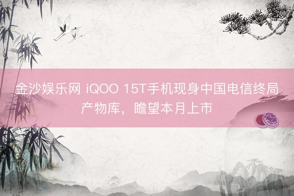 金沙娱乐网 iQOO 15T手机现身中国电信终局产物库，瞻望本月上市