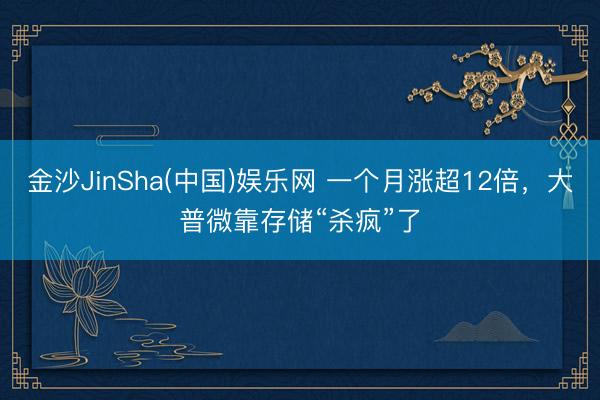 金沙JinSha(中国)娱乐网 一个月涨超12倍，大普微靠存储“杀疯”了