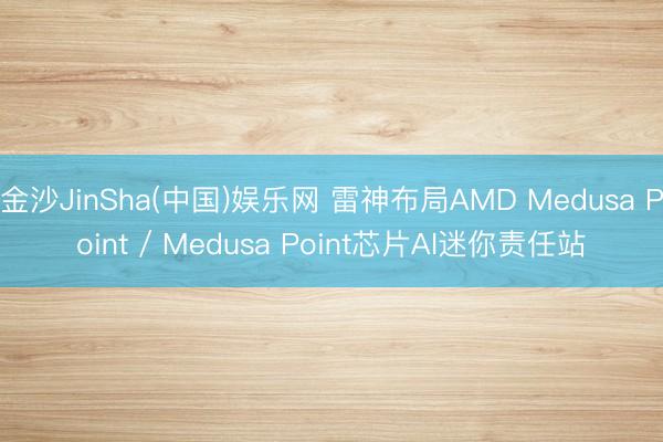 金沙JinSha(中国)娱乐网 雷神布局AMD Medusa Point / Medusa Point芯片AI迷你责任站