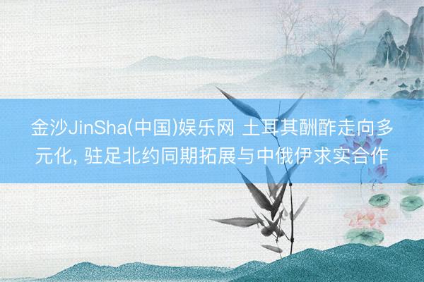 金沙JinSha(中国)娱乐网 土耳其酬酢走向多元化, 驻足北约同期拓展与中俄伊求实合作