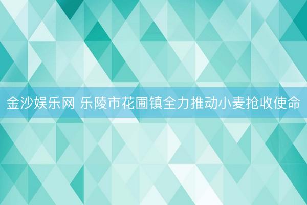 金沙娱乐网 乐陵市花圃镇全力推动小麦抢收使命