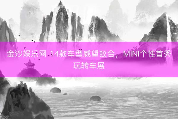 金沙娱乐网 14款车型威望蚁合，MINI个性首秀玩转车展